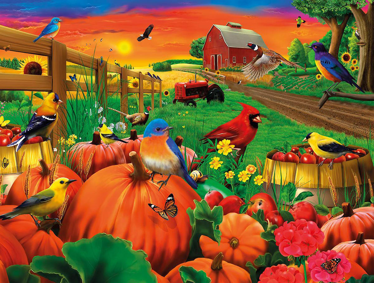 Birds of Pumpkin Farm - Scratch and Dent Farm