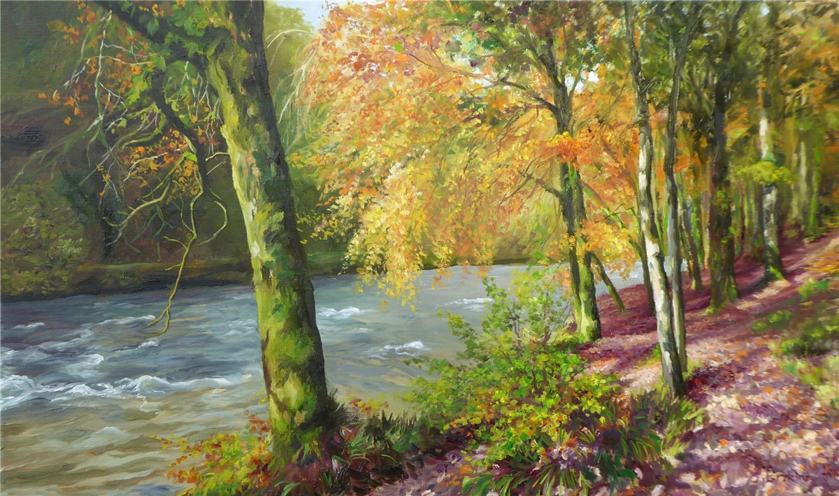 The Barle in Autumn Fall