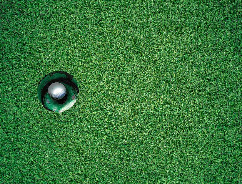 Impuzzibles A Hole in One Sports