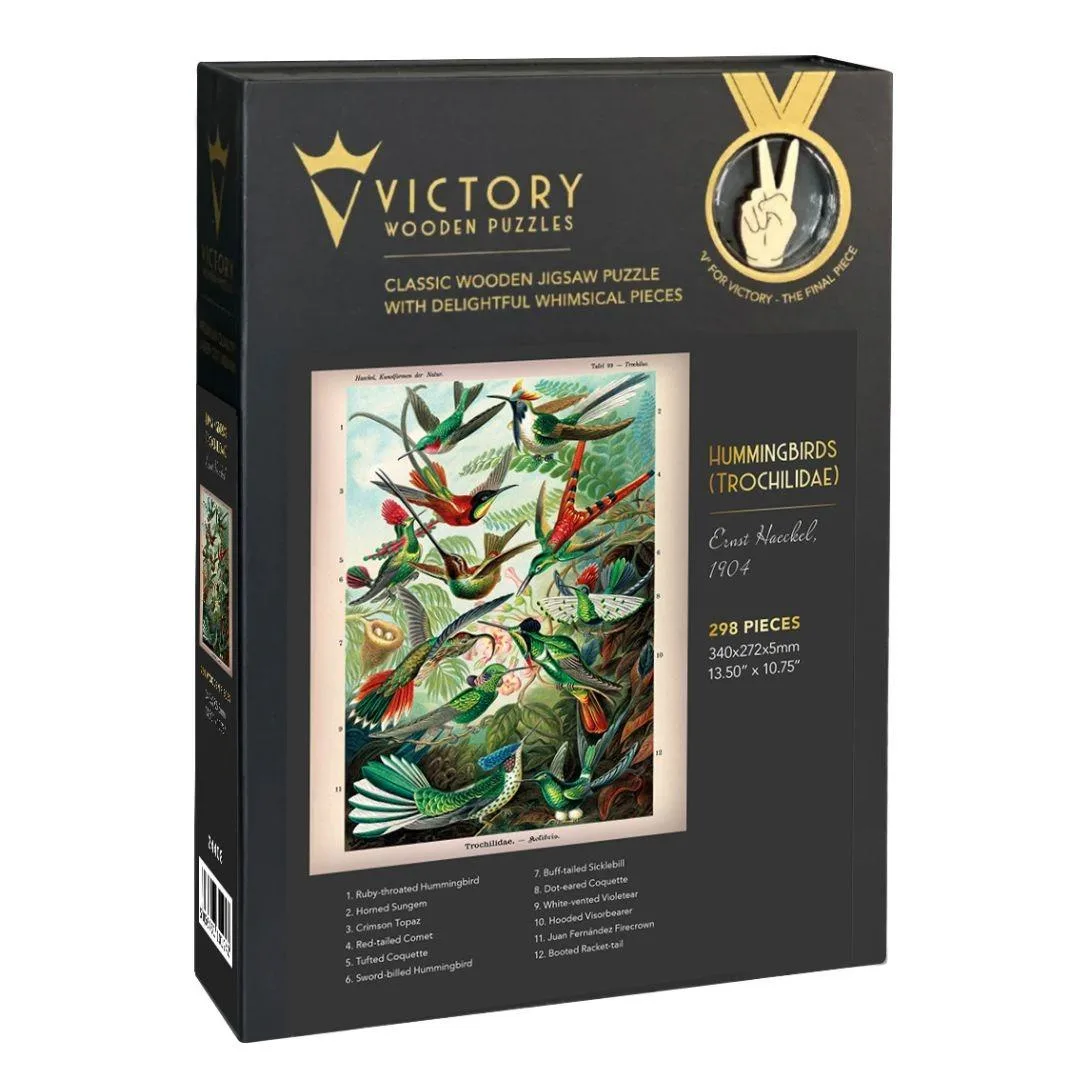 Hummingbirds (Trochilidae) Birds