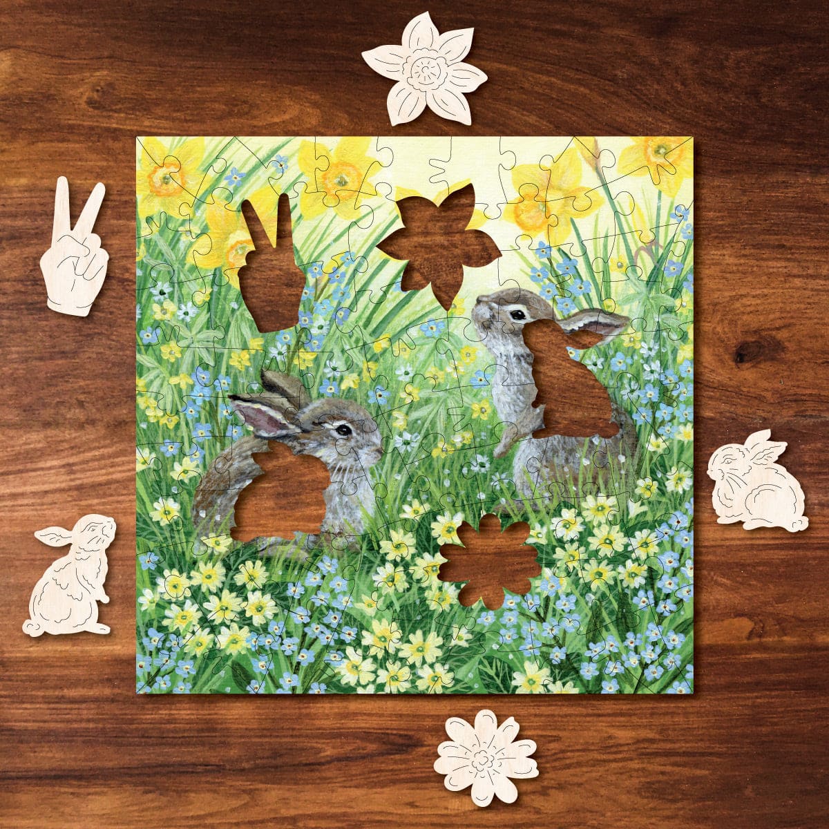 Sunshine & Spring Flowers