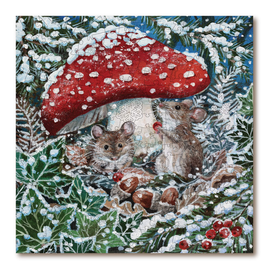 Shelter From The Snow