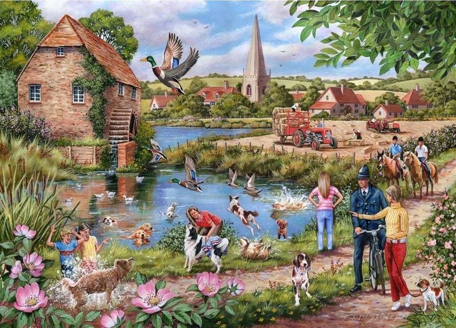 Ducks To Water  Birds