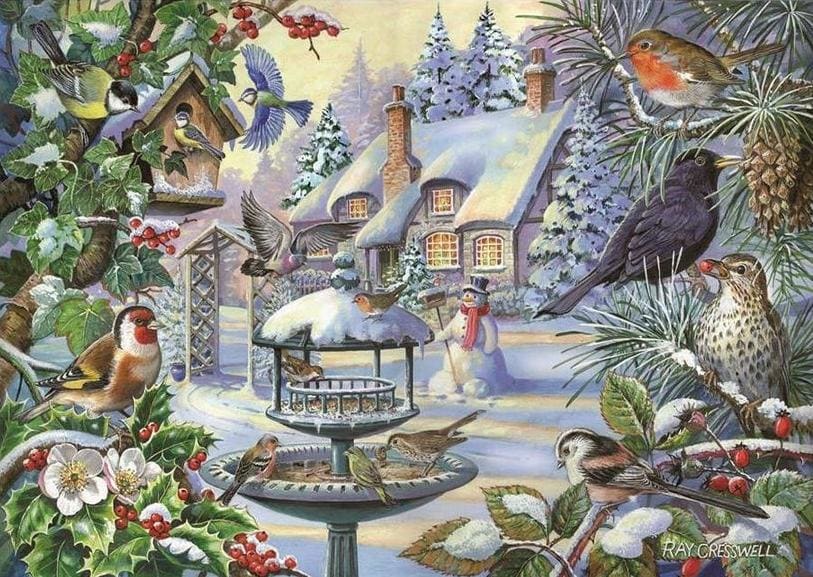 Winter Birds Birds
