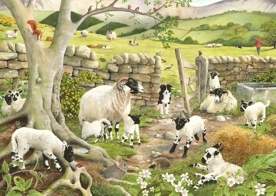 Hide & Seek  Animals