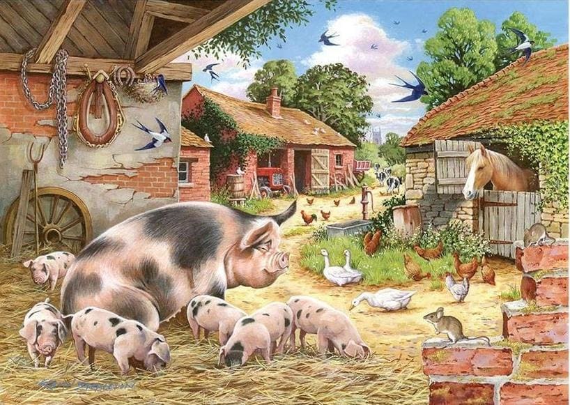 Poppy's Piglets Farm