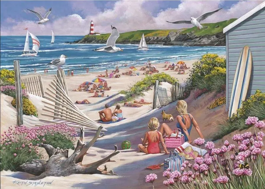 Driftwood Bay  Beach & Ocean