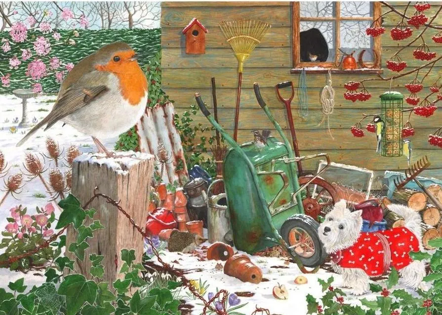 Robin Redbreast  Birds