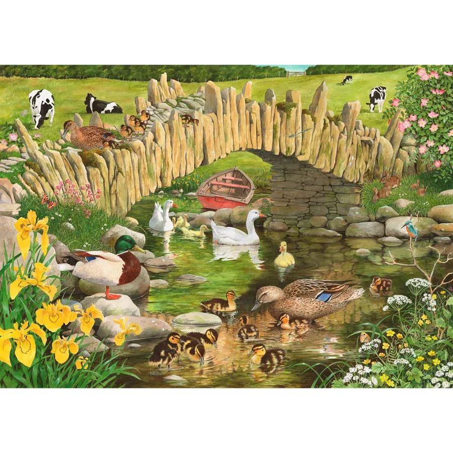 Duck, Duck, Goose  Birds
