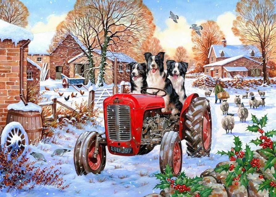 Beau, Belle & Bramble Dogs