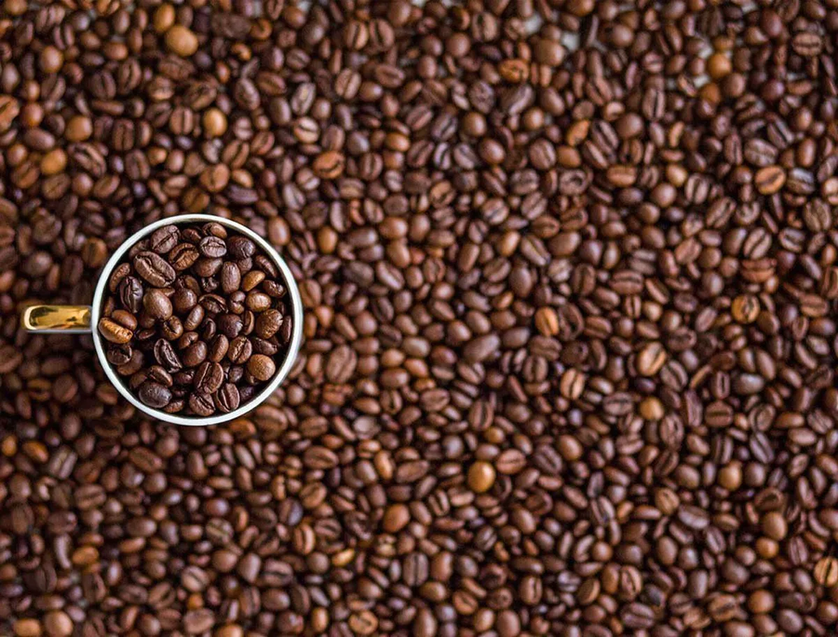 Full of Bean - Impuzzible No.13 Food and Drink