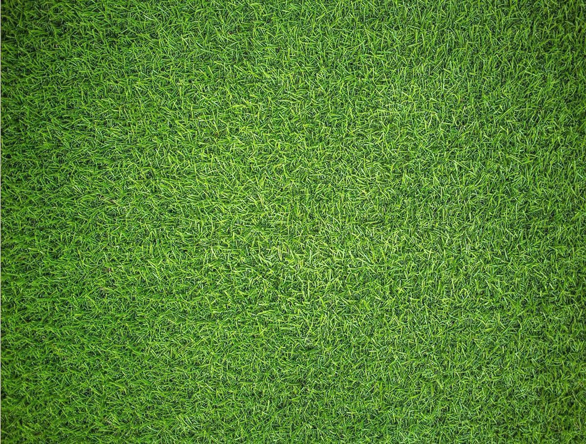 Natural Grass - Impuzzible No.7 - Scratch and Dent Photography