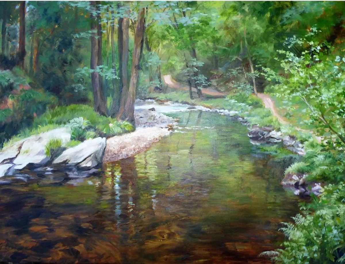 River Bend, Exmoor Landscape