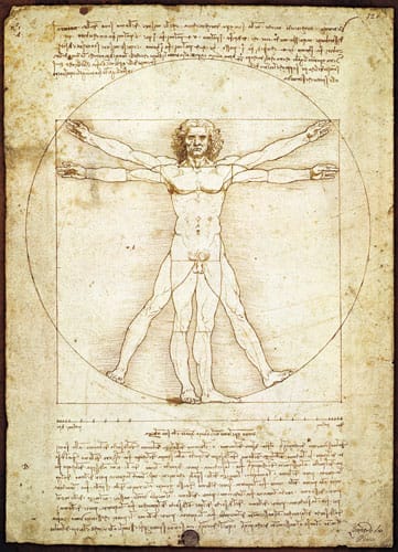 The Vitruvian Man Renaissance