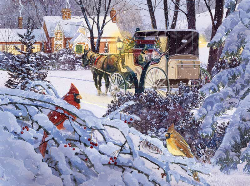 A Friendly Visit Birds