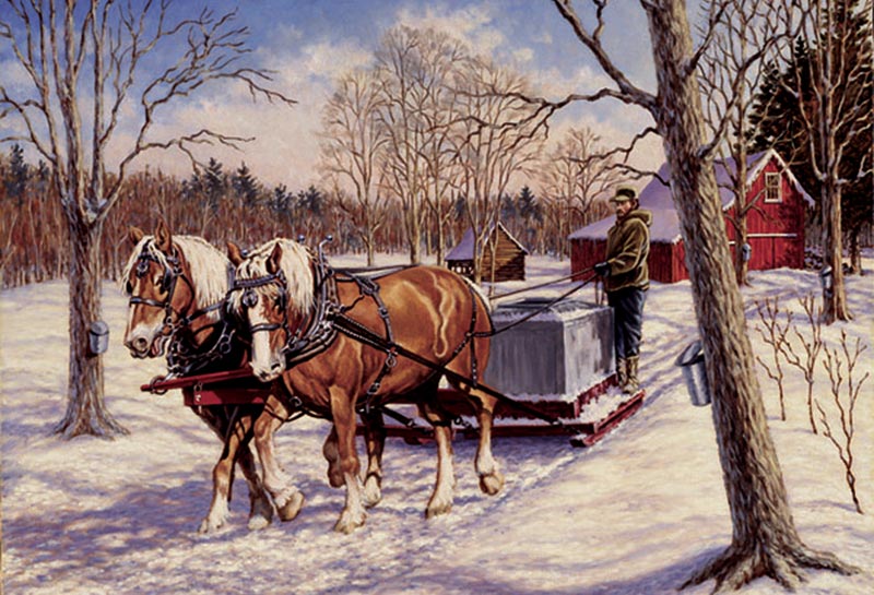 Collecting the Sap Horse