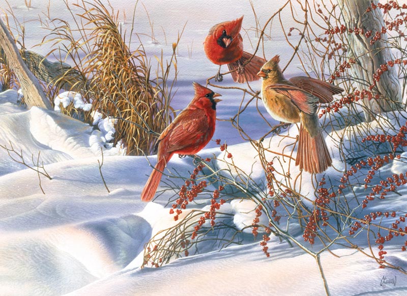 Birds of a Feather Birds