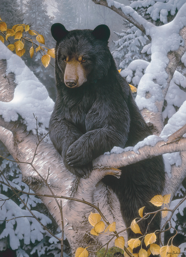 Black Bear Forest Animal Jigsaw Puzzle