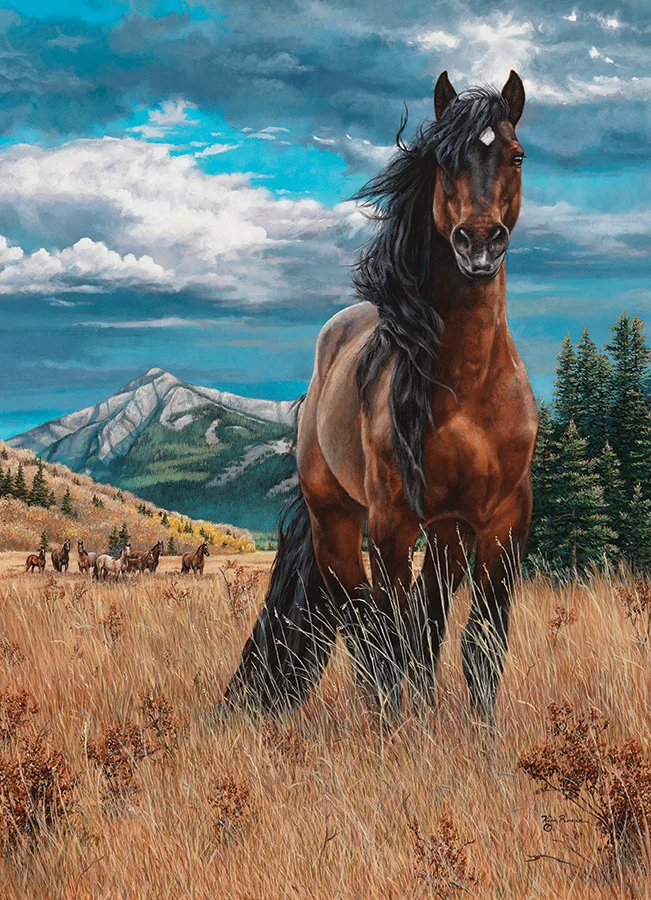Freedom Countryside