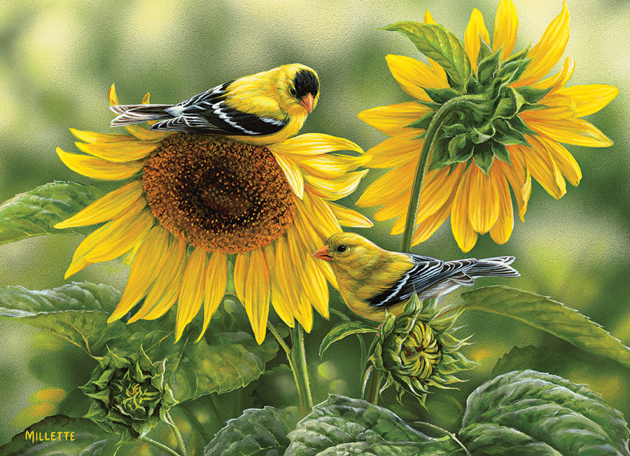 Sunflowers and Goldfinches Birds Jigsaw Puzzle