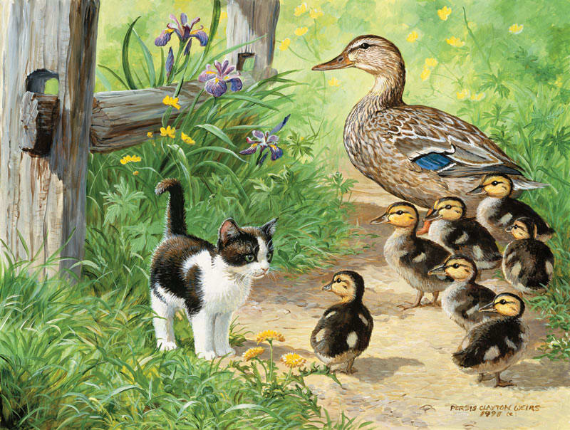 Duck Inspector Animals