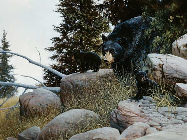 Black Bear Family Forest Jigsaw Puzzle