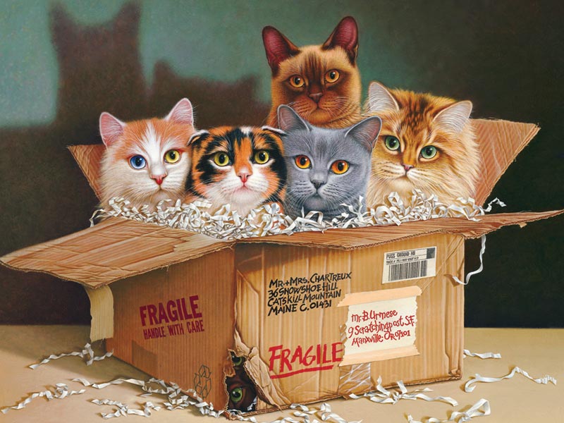 Six Pack Cats Jigsaw Puzzle