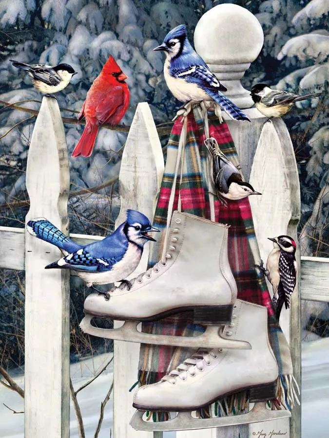 Birds with Skates Birds