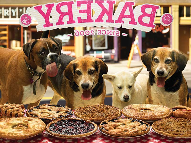 Who Wants Pie? Dogs Jigsaw Puzzle
