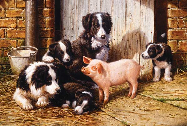 Piggy in the Middle Dogs