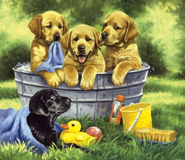 Squeaky Clean Dogs Jigsaw Puzzle