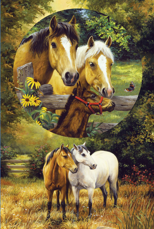 Country Horses Horse