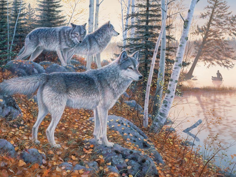 Silent Travelers DUPE Wolf Jigsaw Puzzle