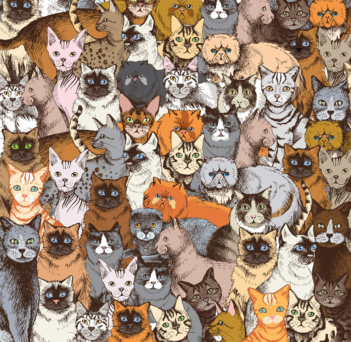 World's Most Difficult Jigsaw Puzzle - Cats Cats