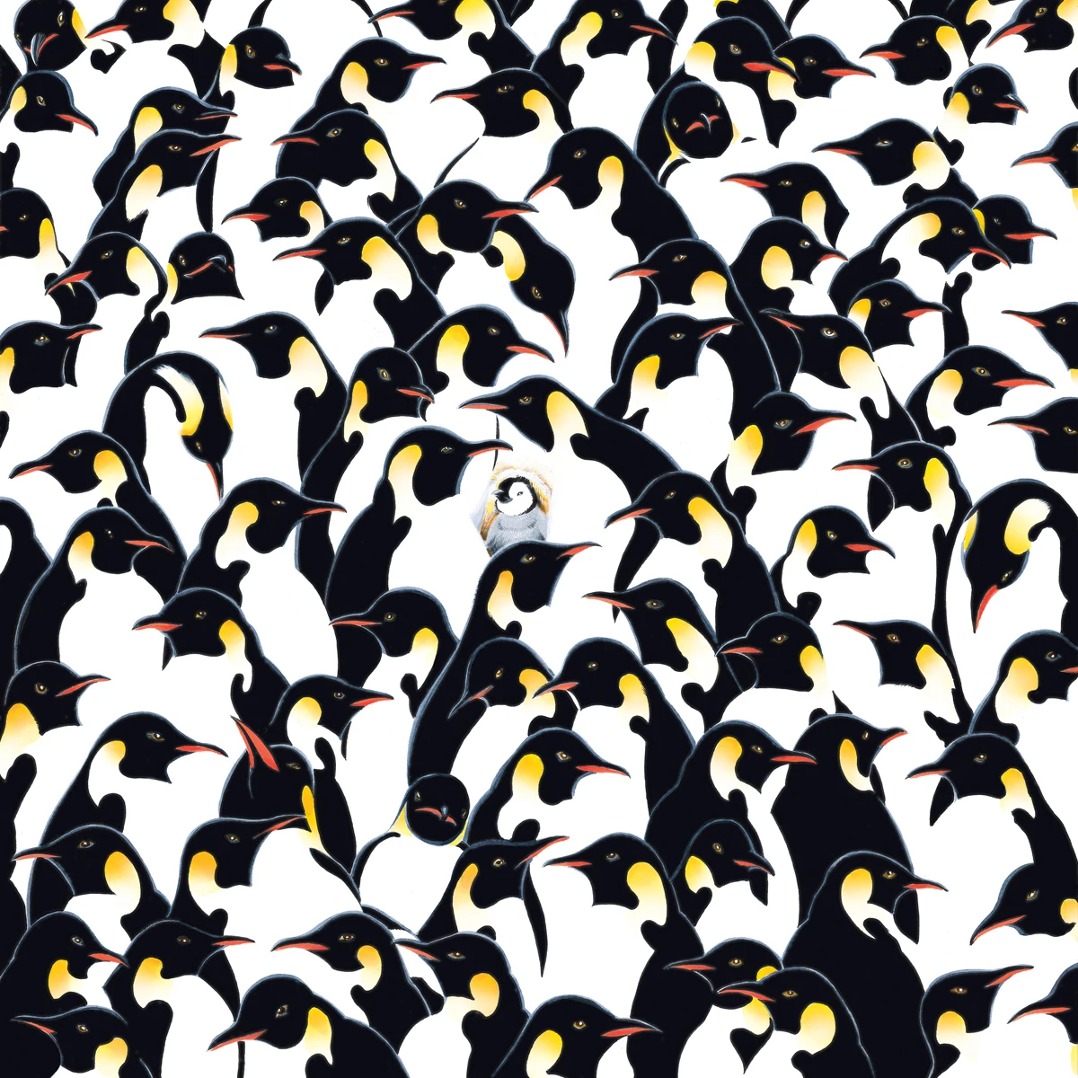 World's Most Difficult Jigsaw Puzzle - Penguins Birds