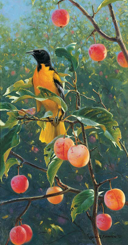 Orchard Birds