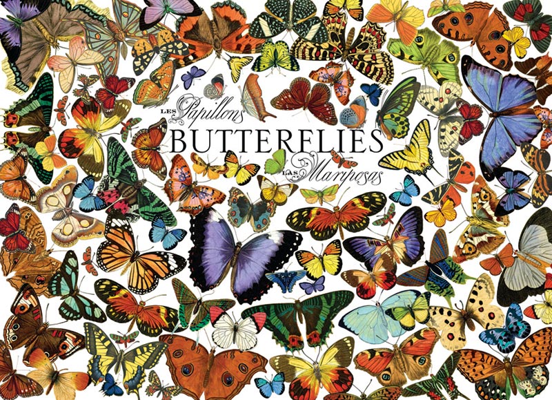 Butterflies (Small Box) Butterflies and Insects Jigsaw Puzzle