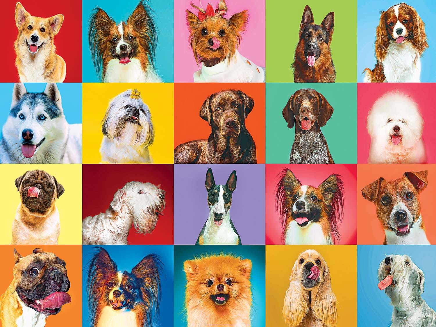 Puzzle Collector - 20 Happy Dogs Dogs