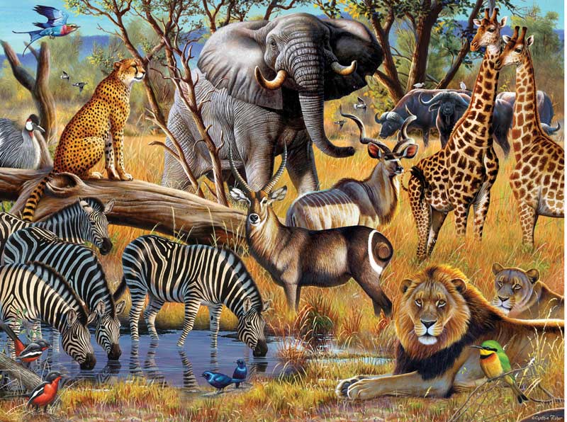 African Sunset Jungle Animals