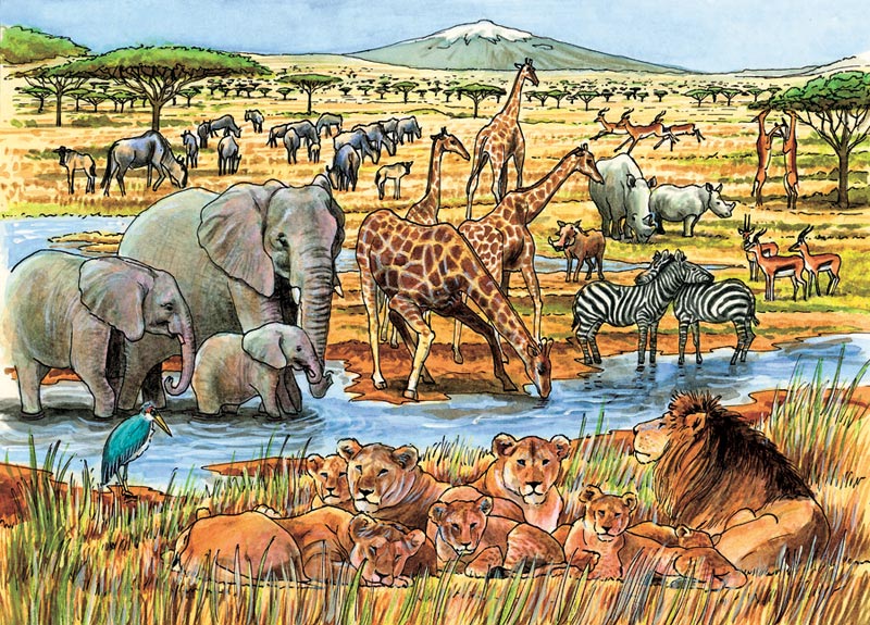 Out of Africa Animals Jigsaw Puzzle
