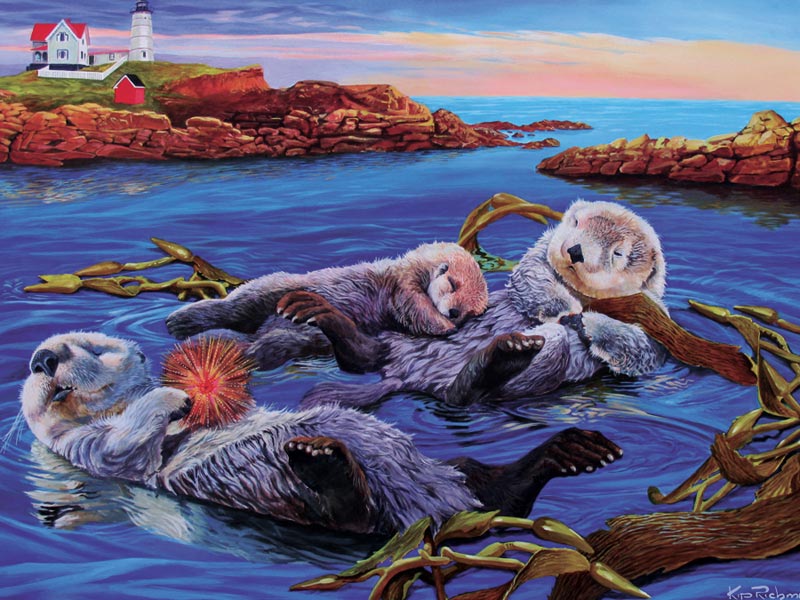 Otter Nap Animals Jigsaw Puzzle