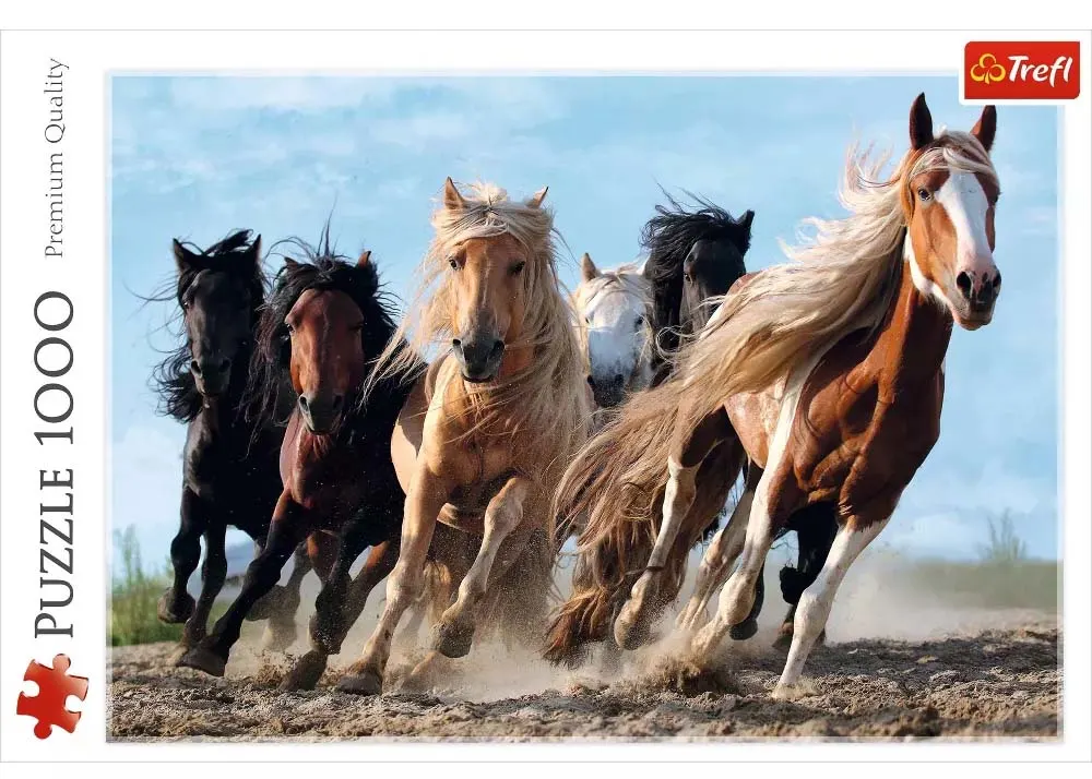 Galloping Horses