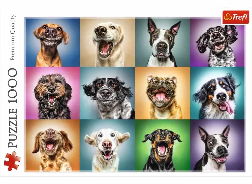 Funny Dog Portraits