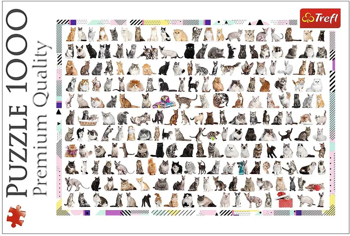 208 Cats - Scratch and Dent