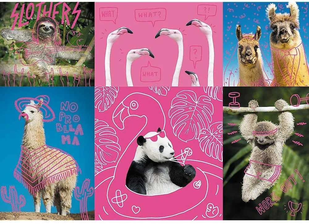 Crazy Animals Animals