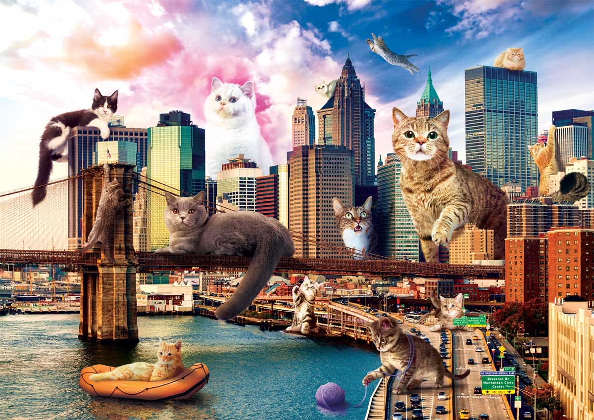 Cats In New York Cats