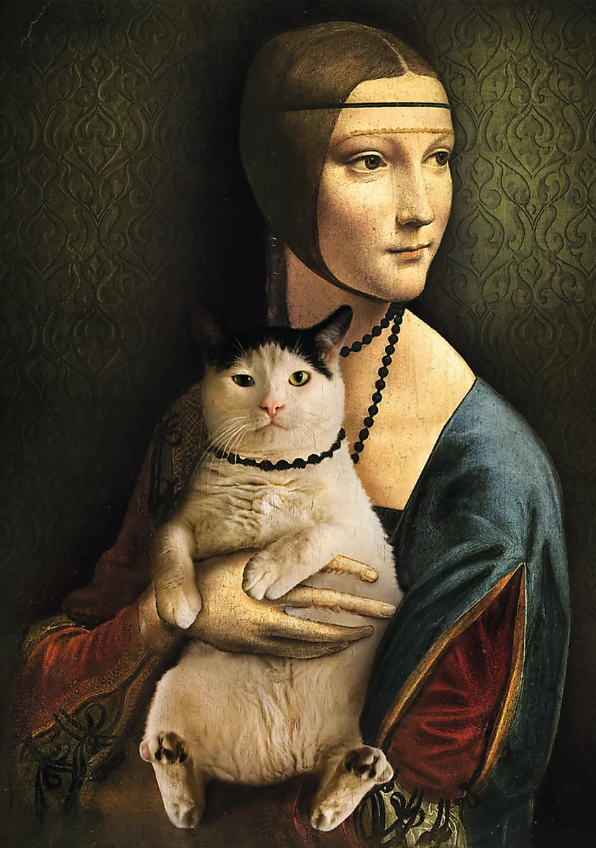 Lady With A Cat Fine Art