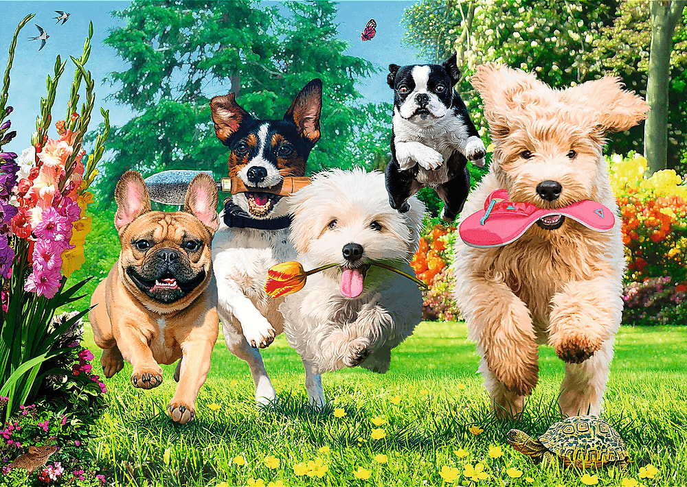 Premium Plus Here Comes Trouble! Dogs