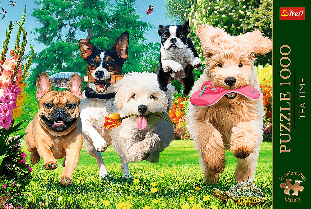 Premium Plus Here Comes Trouble!