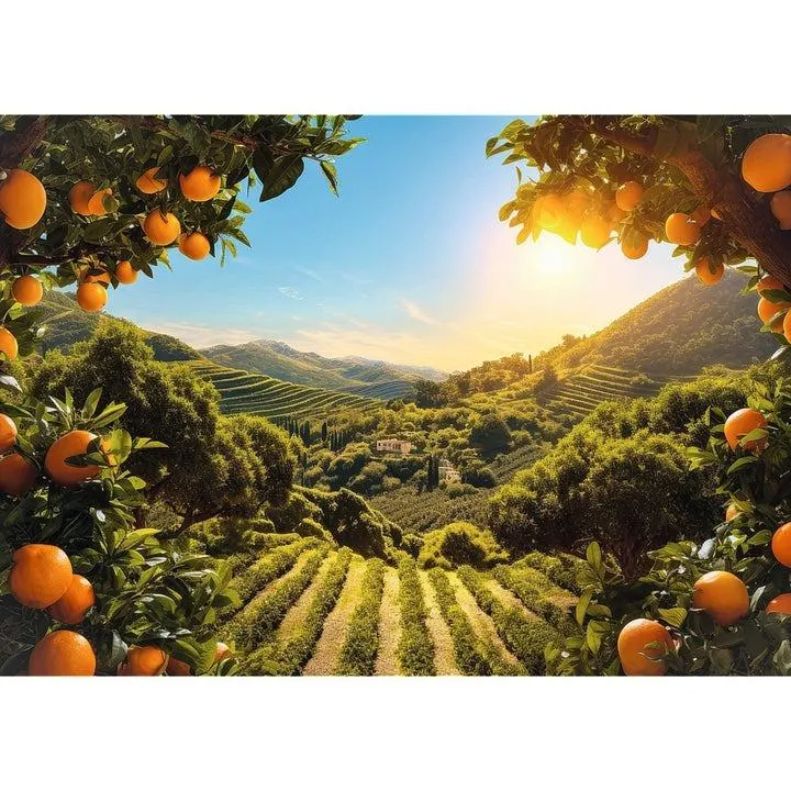 Sunsets Mountain Orange Grove Landscape